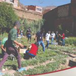 MENORES INFRACTORES APRENDEN CULTIVO DE PLANTAS MEDICINALES COMO MÉTODO DE REINSERCIÓN EN HUÁNUCO