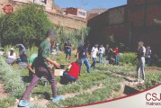 MENORES INFRACTORES APRENDEN CULTIVO DE PLANTAS MEDICINALES COMO MÉTODO DE REINSERCIÓN EN HUÁNUCO