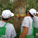 PODER JUDICIAL EXTIENDE ACUERDOS PARA LUCHA EN FAVOR DEL MEDIO AMBIENTE, SOSTENIBILIDAD Y PUEBLOS INDÍGENAS